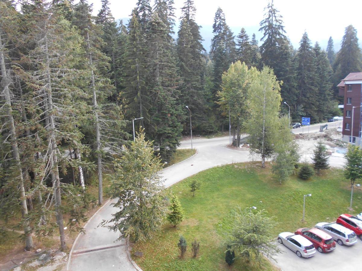 Valentina'S Studio In "Borovets Gardens" Hotel Exteriör bild